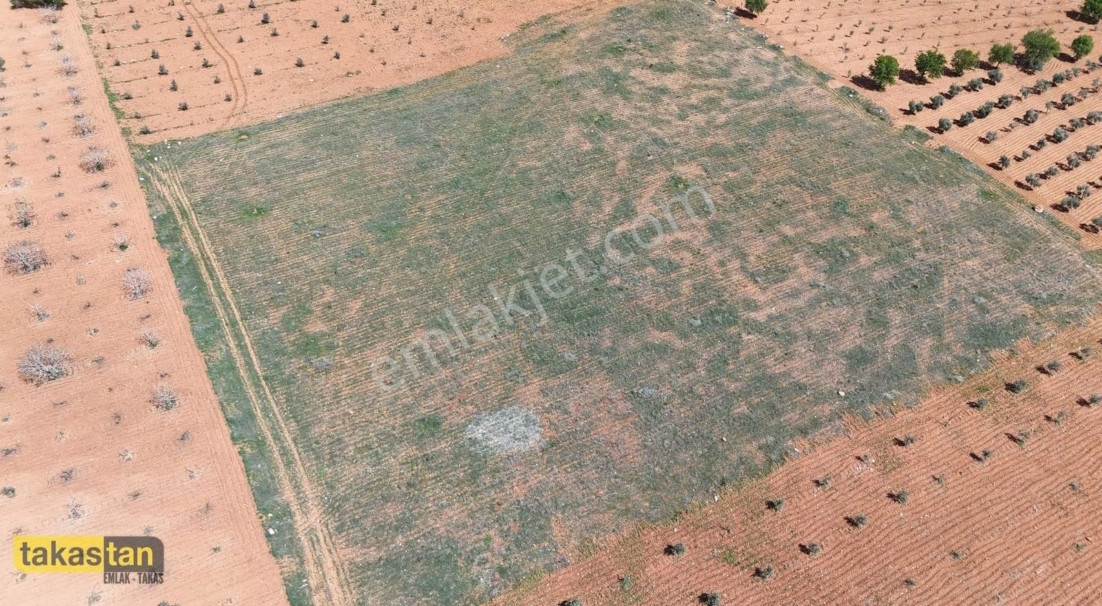 Herkesin Bütçesne Uygun Yatırımlık Bağevilk Manzaralı Fırsat Yer