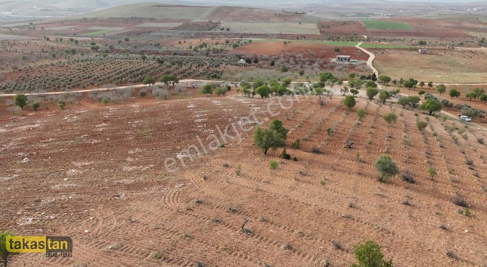 Suboğaz Sınırı Resmi Yola Cepheli Uygun Fiyatlı Fırsat Arazi