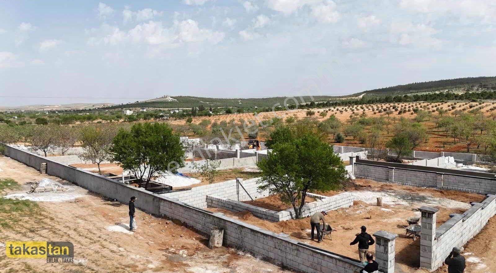 Suboğaz Orman Manzaralı Bağ Evlik Ve Yatırımlık Satılık Arazi