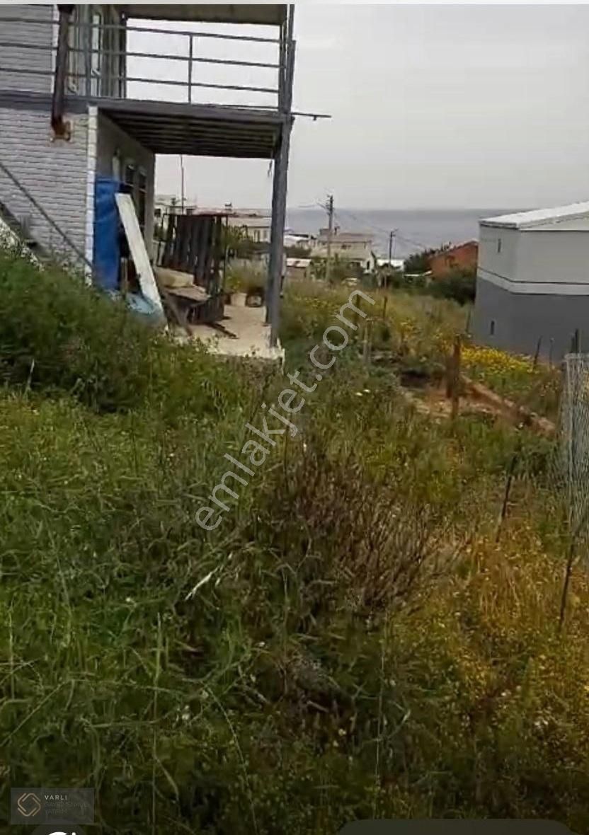 Bursa Mudanya Mesudiye Köyünde Hisseli Satılık Tarla