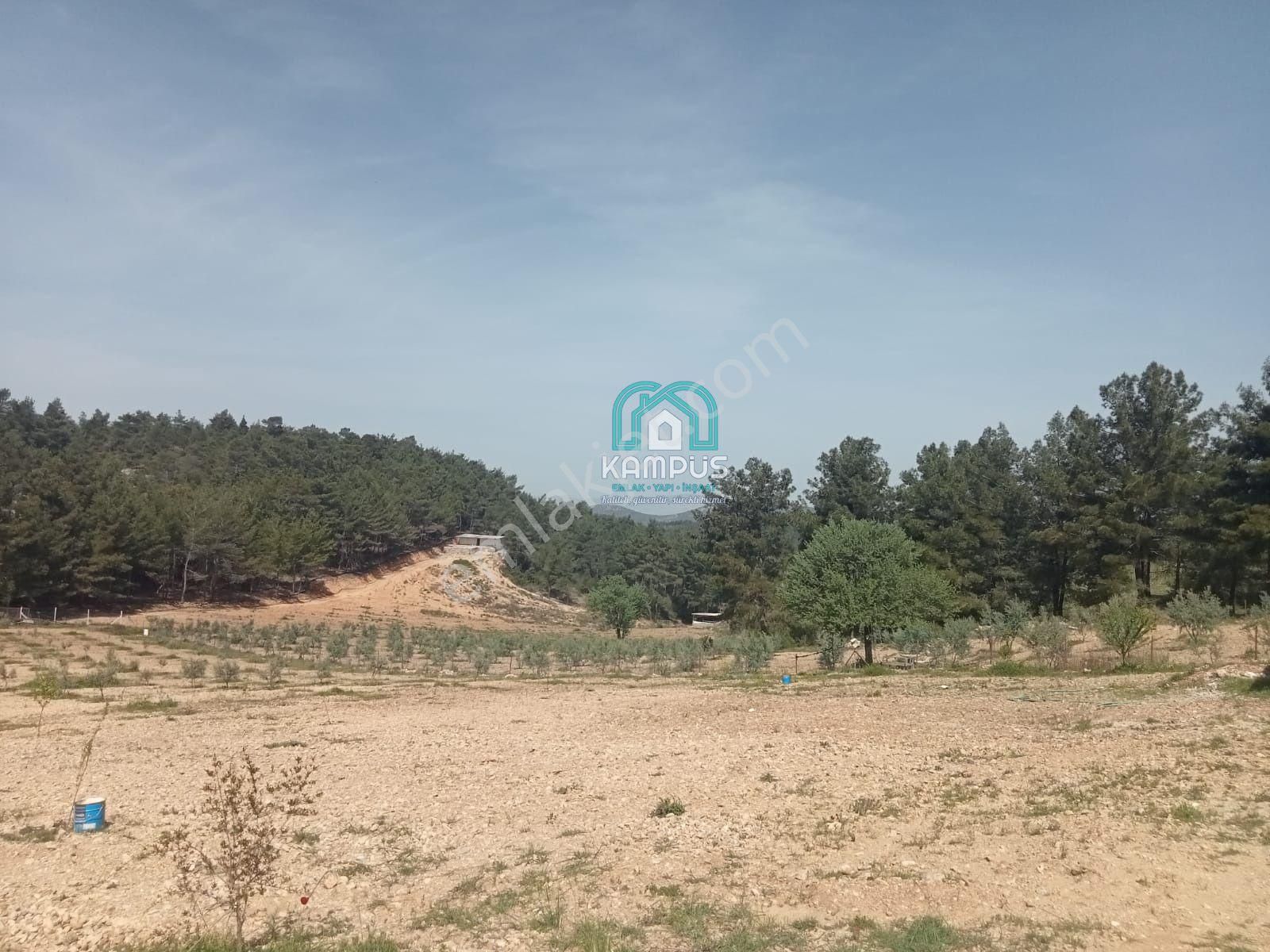 Muğla Menteşe Bayır'da Satılık Tarla Ve Bağ Evi