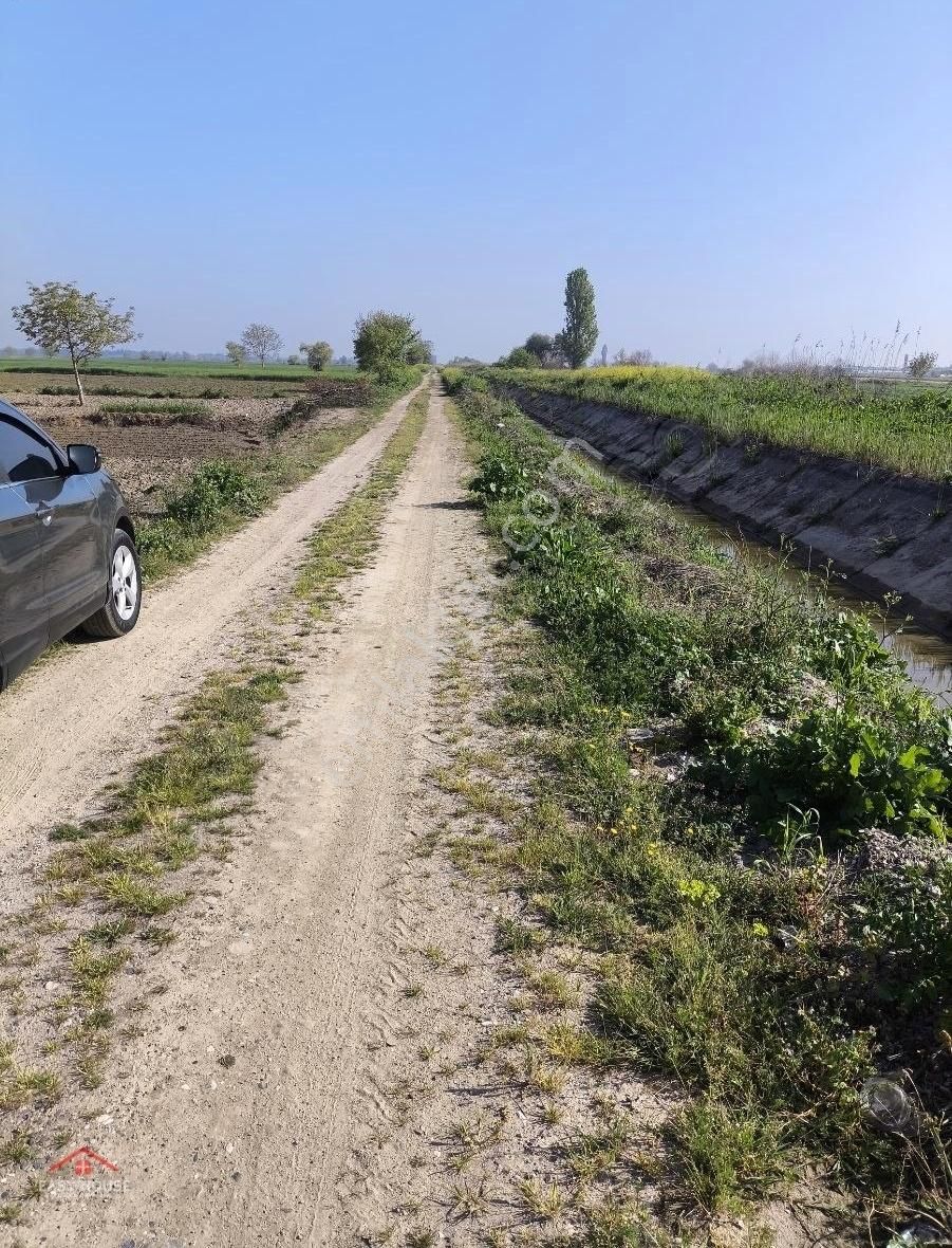 M.kemalpaşa Tepecik Asfalta Yakın 2300 M2