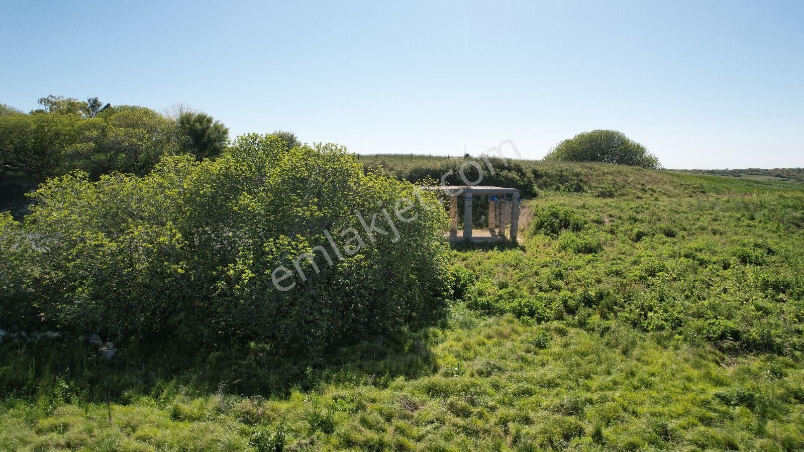 İstanbul Arnavutköy Doğa İle İç İçe Kısa Süreli Fiyat Güncelleme - Görsel 8