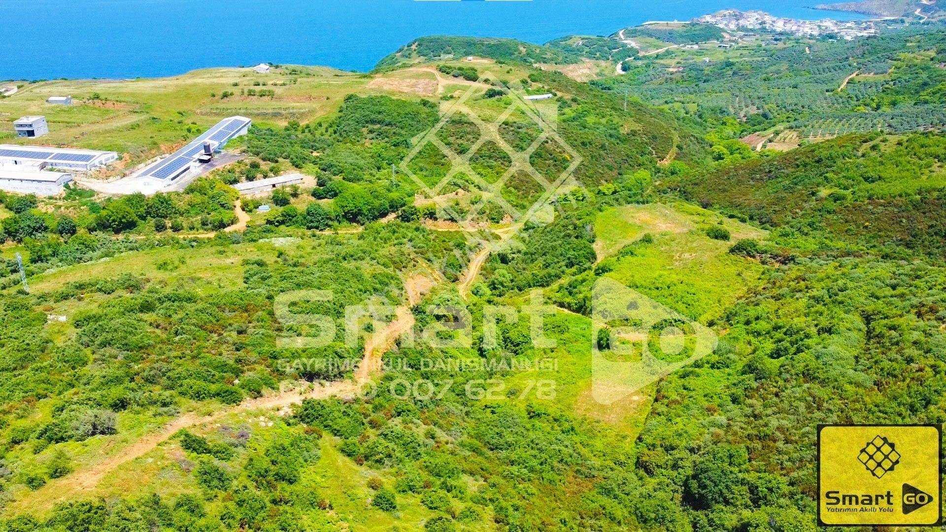 Sahil Yenice'de 1.175 M² Satılık Tarla