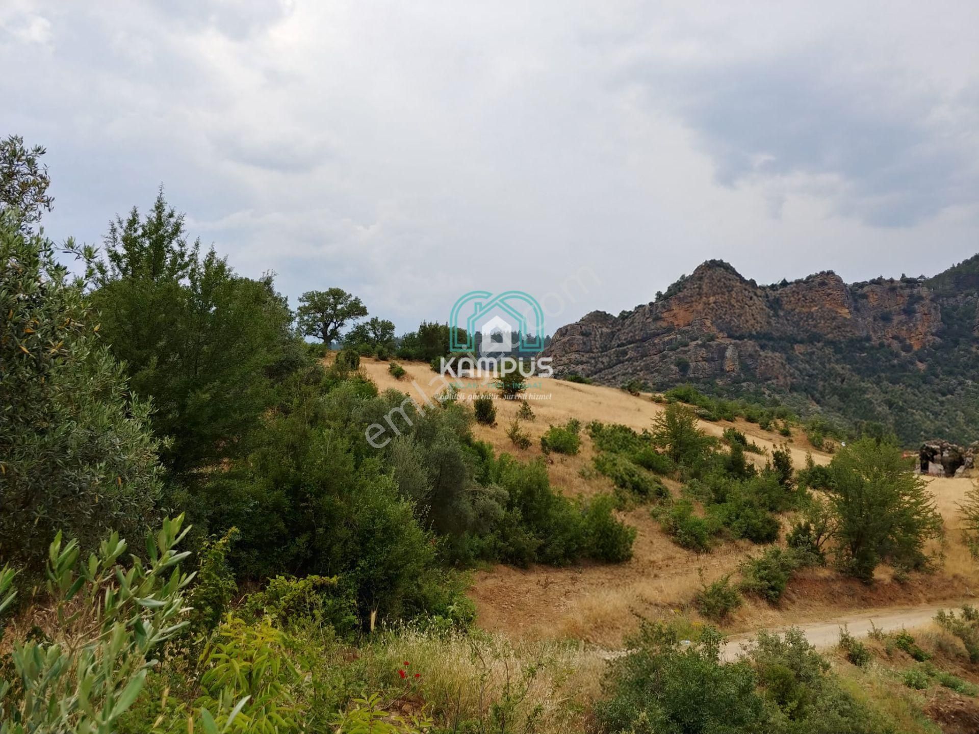 Muğla Taşlı Mahallesi'nde 8.374 M² Satılık Tarla