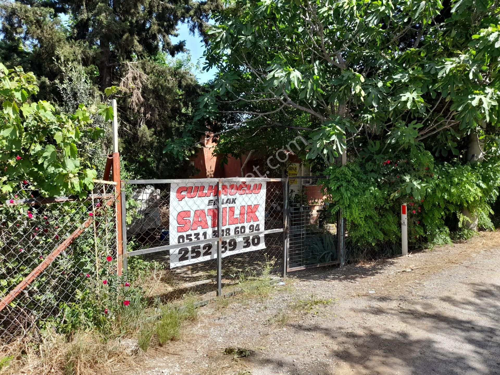 Mendereste Satılık Yatırımlık Bağ Bahçe