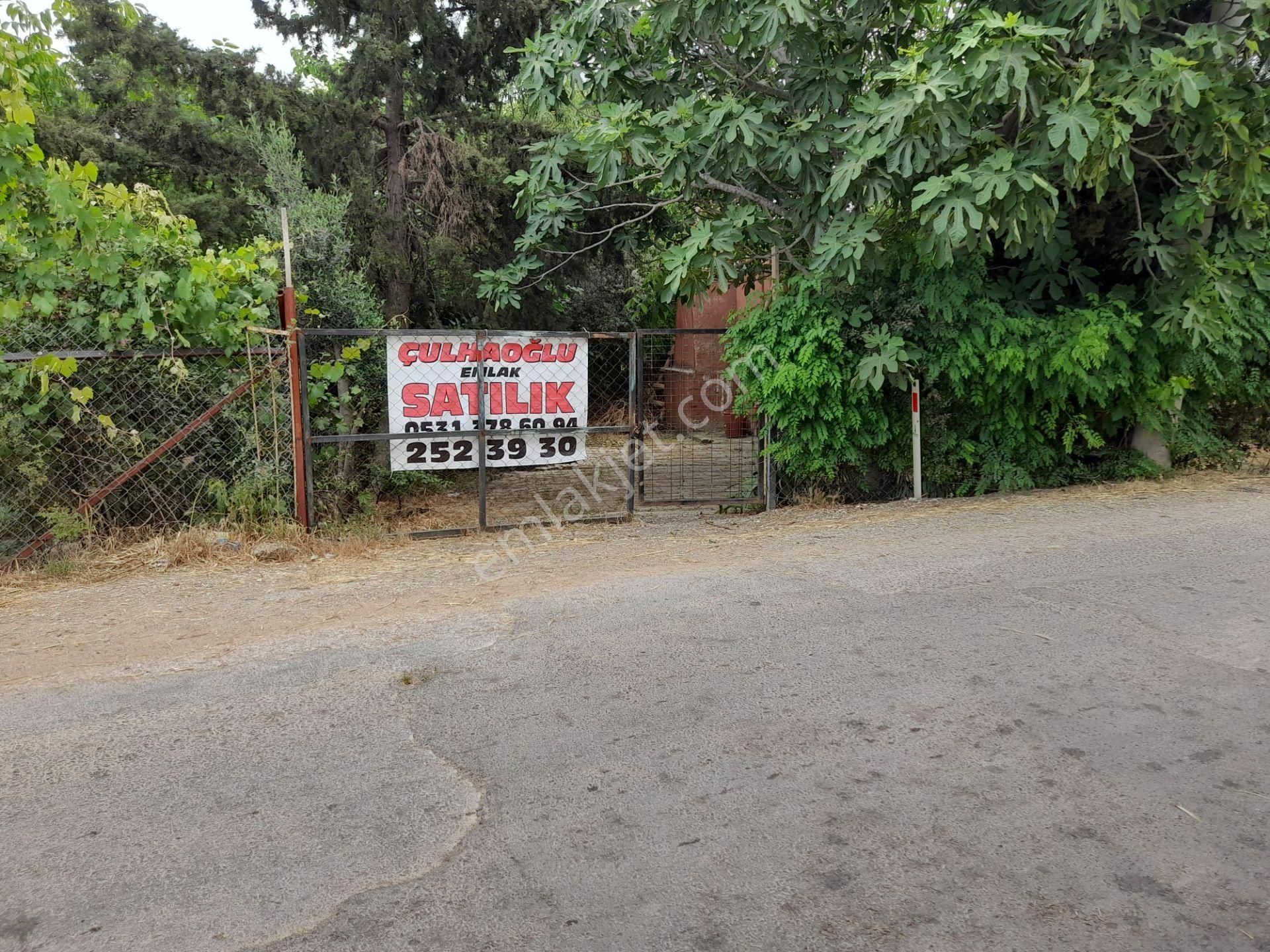 Mendereste Satılık Yatırımlık Bağ Bahçe
