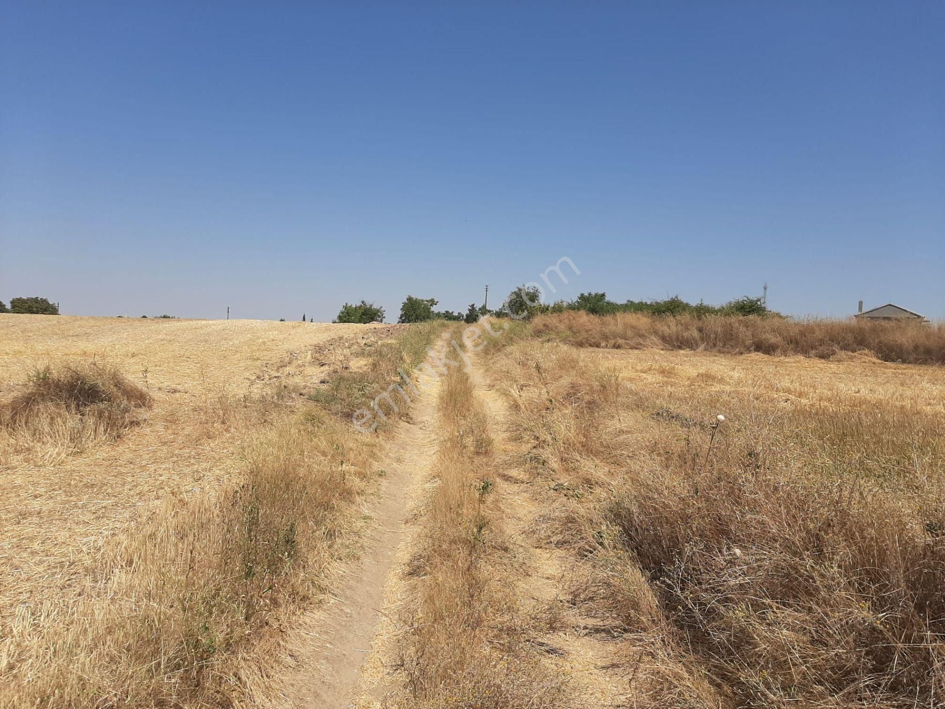İmarlı İfrazlı 513 M2 Satılık Arsa