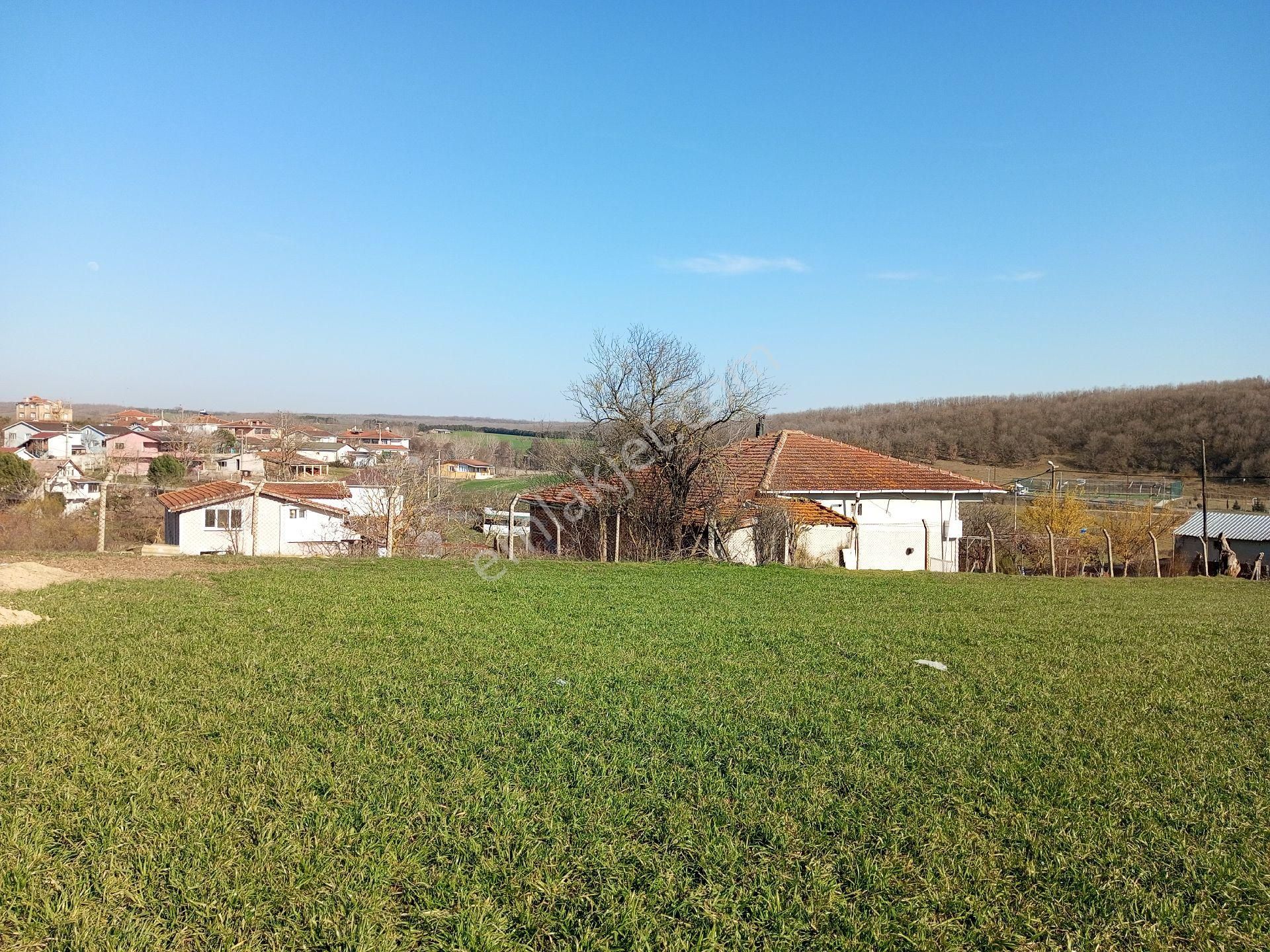 Ege Gayrimenkulden Silivri Beycilerde 1300 M2 Arsa