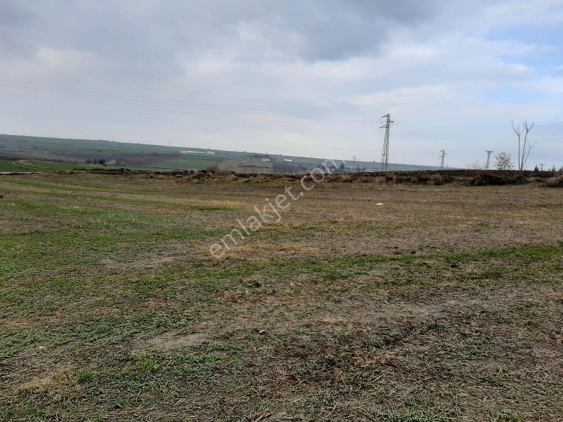 Satılık Edirne Köseömer 1302 M2 Arsa