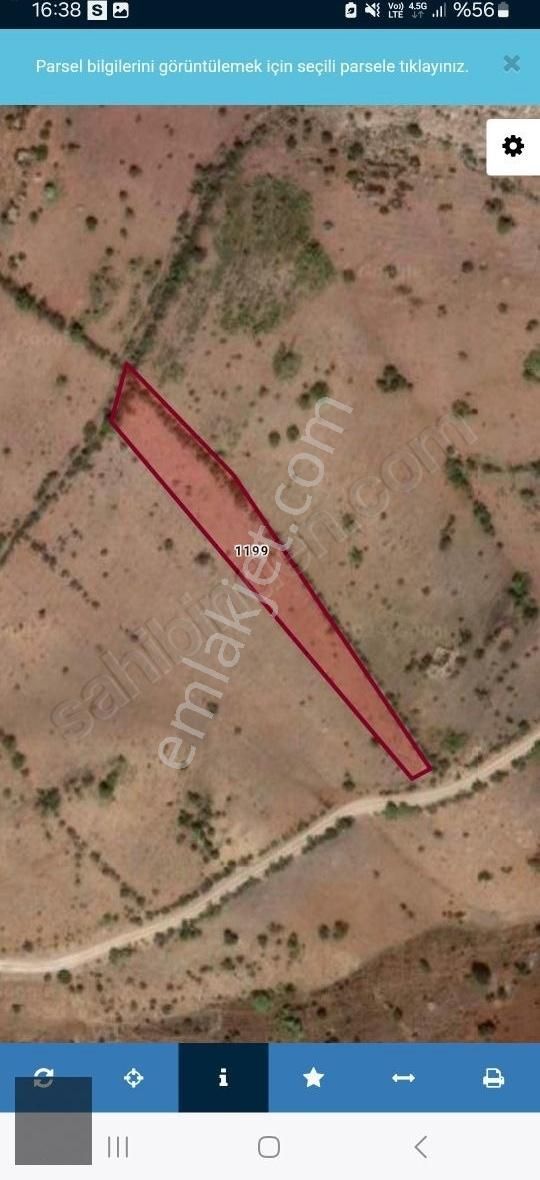 Cafana, Eski Köyün Üst Tarafında Satılık 2.800m2 Üzüm Bağı