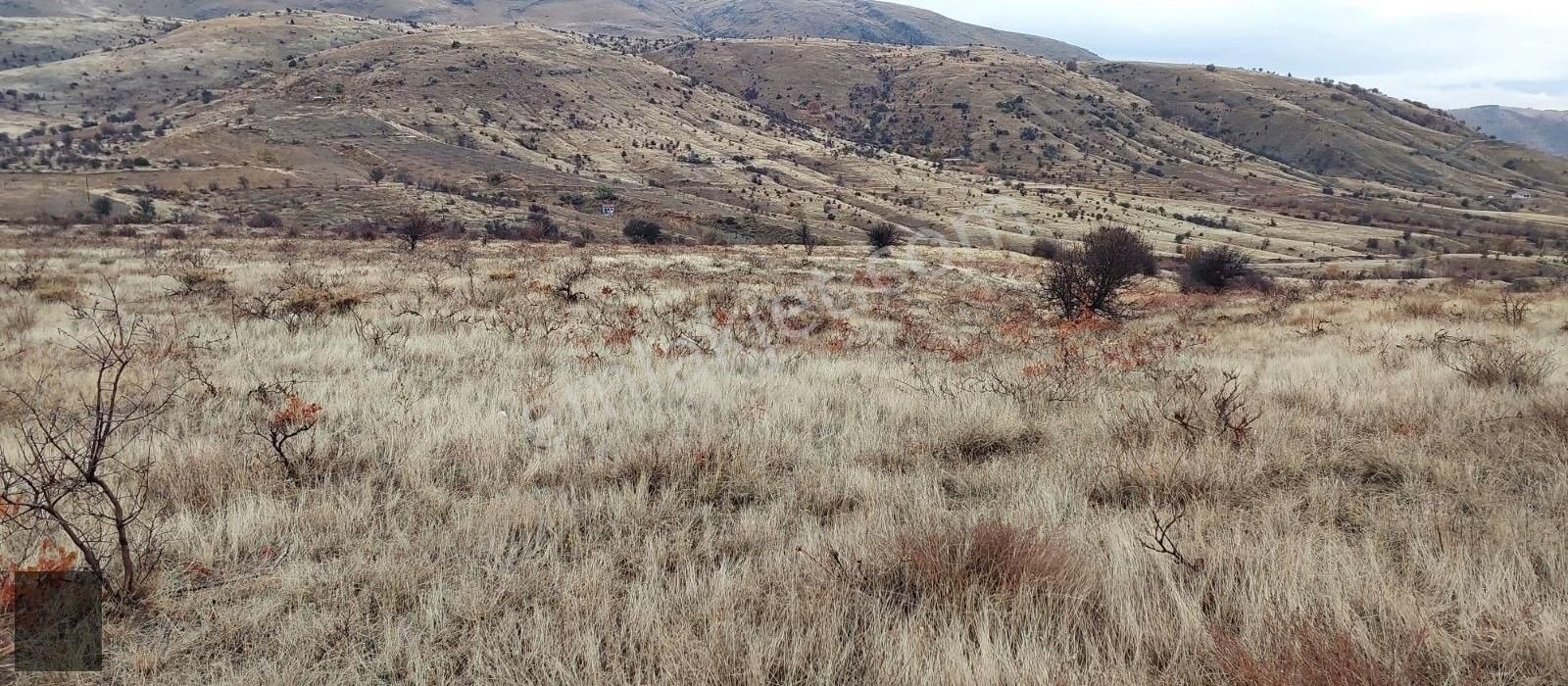 Doğanşehir Polat Mevkiinde Satılık 5.622m2 Bağ, Ev Yeri........