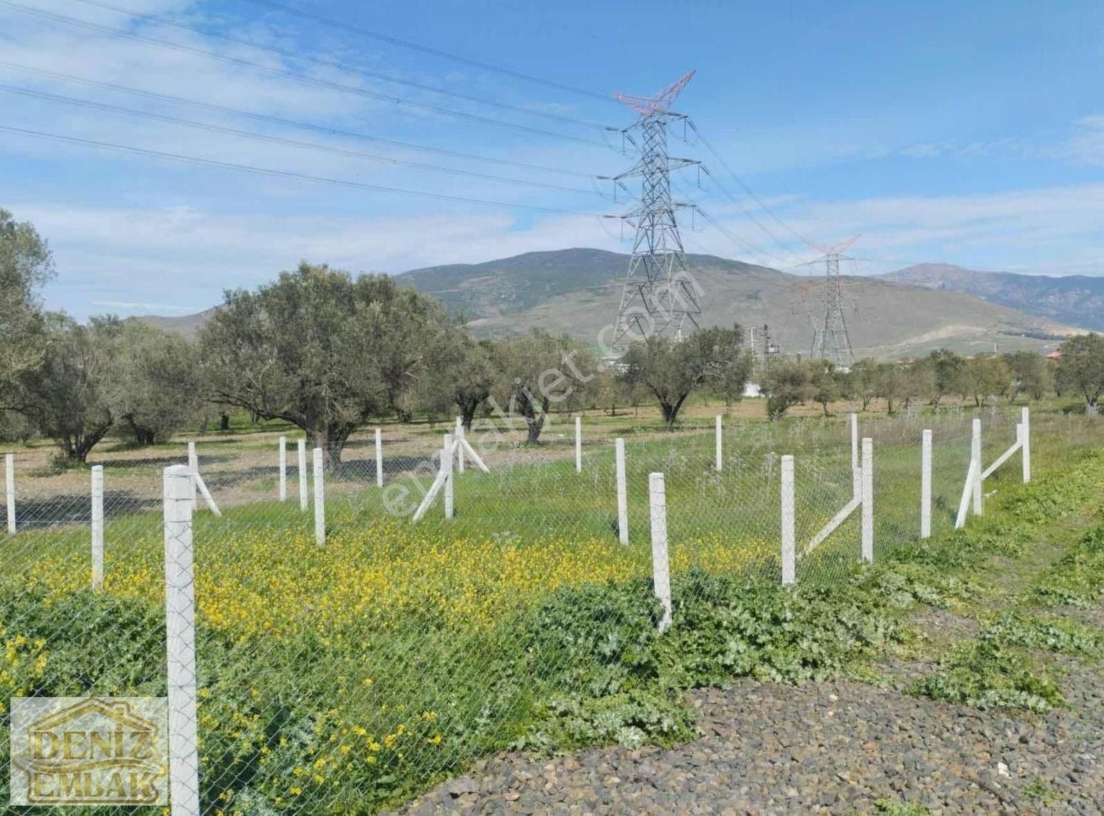 Helvacıda Anayola Yakın 148m2 Asfalt Yolu Olan Tarla