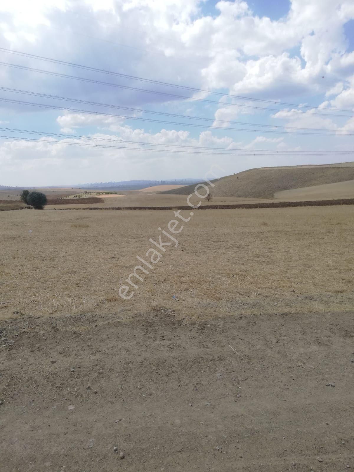 Kutludüğün De Satılık Arsa - Görsel 3