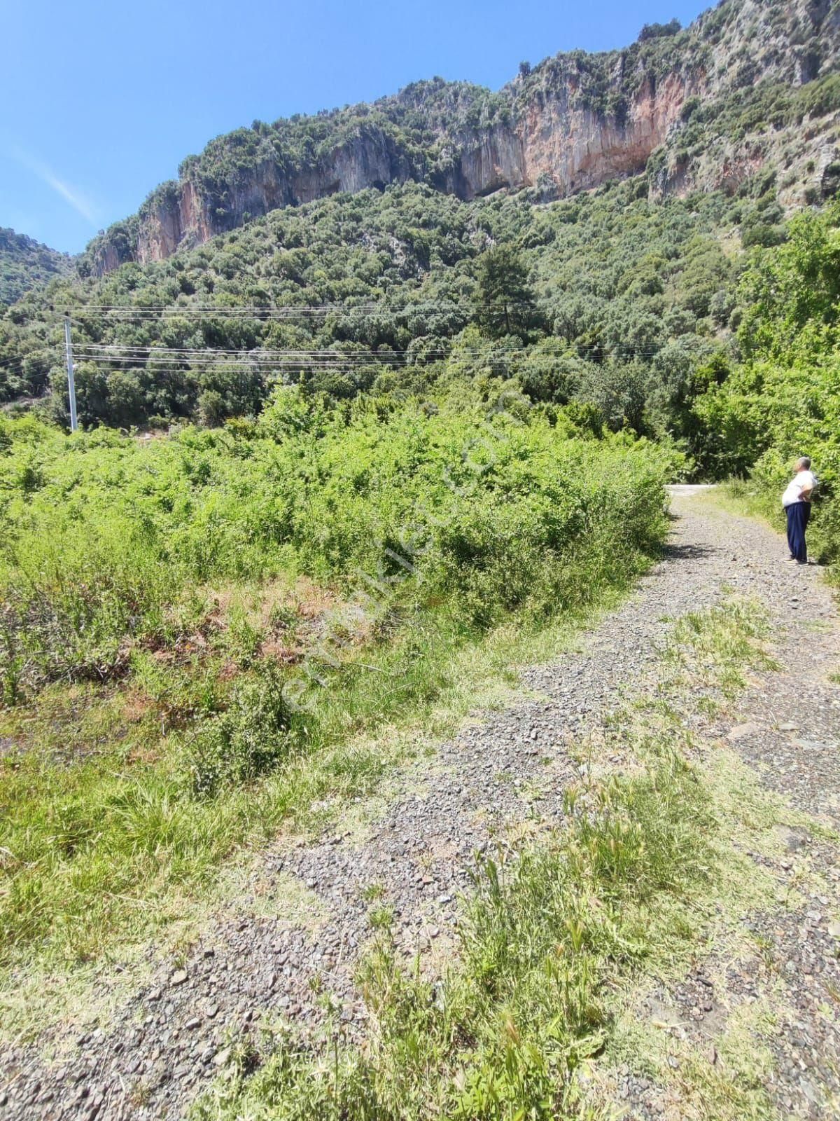 Muğla Ortaca Yeşilyurt Satılık Tarla Müstakil Parsel
