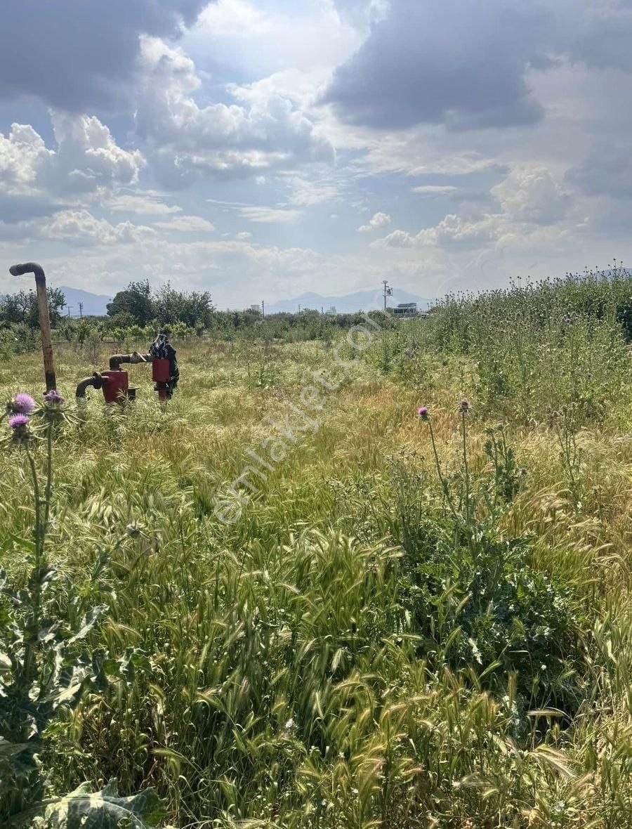 Manisa Turgutlu 9.mıntıkada Satılık Tarla Şehre Yakın