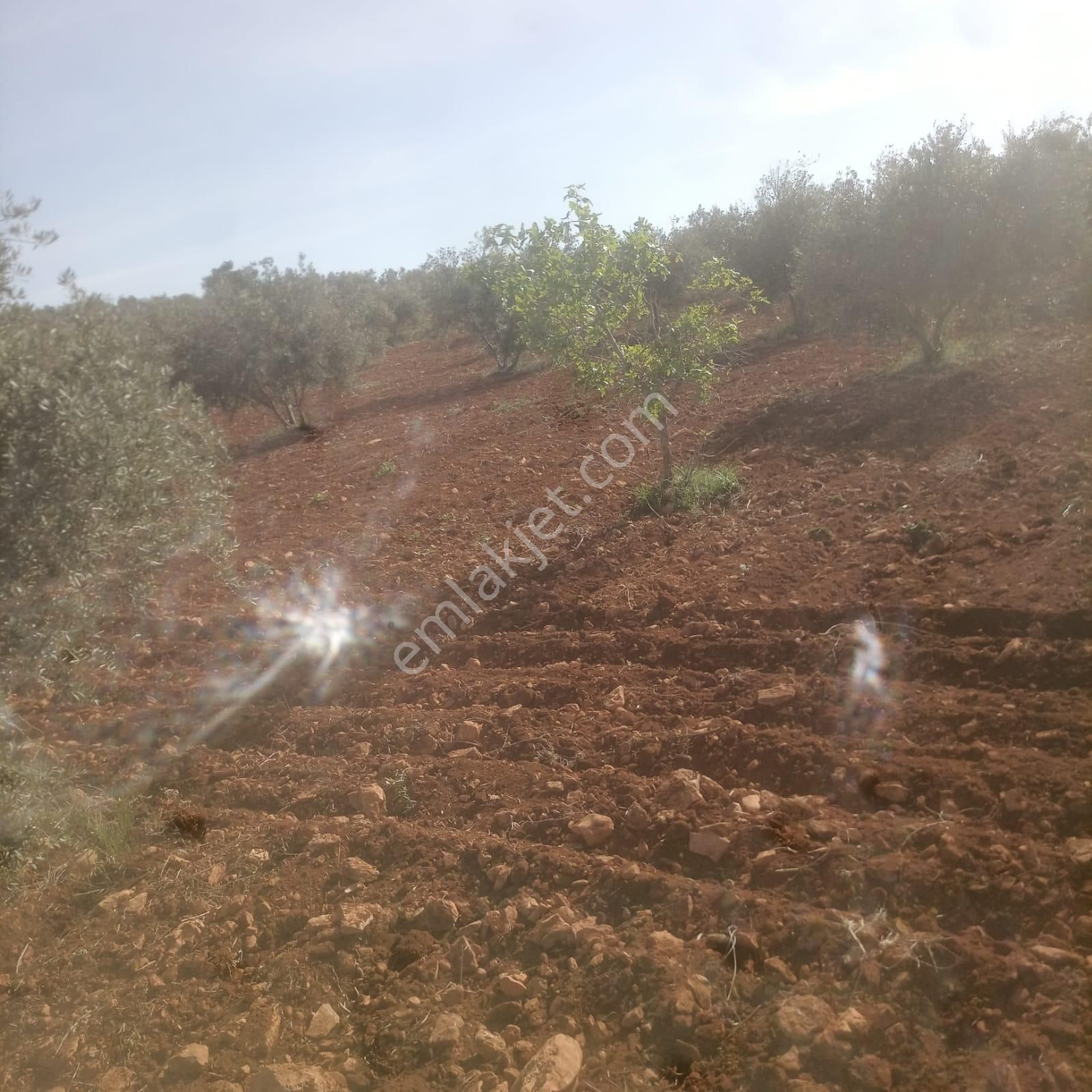 Utku Emlak Yatırım Danışmanlıgı - Görsel 3