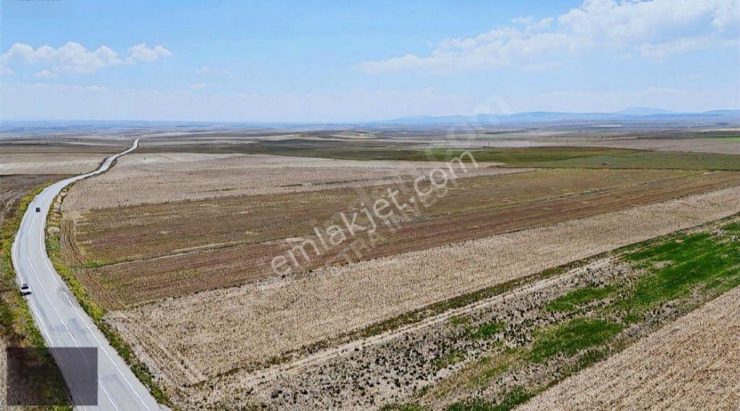 Konya Çeltik Doğanyurt Köyü 18.175 M² Mustakil Tek Tapu Tarla Sahibinden Ana Yol Kenarı Takaslı - Görsel 14