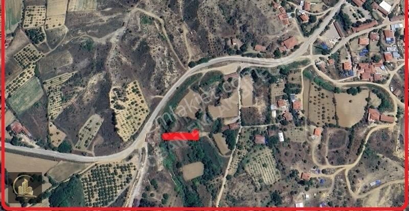 Bilecik Merkez Yeniköy 700 M2 Köyiçi Arsa