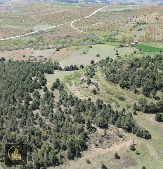Bilecik Merkez Deresakarı Köyü 8,5 Dönüm Doğayla Başbaşa