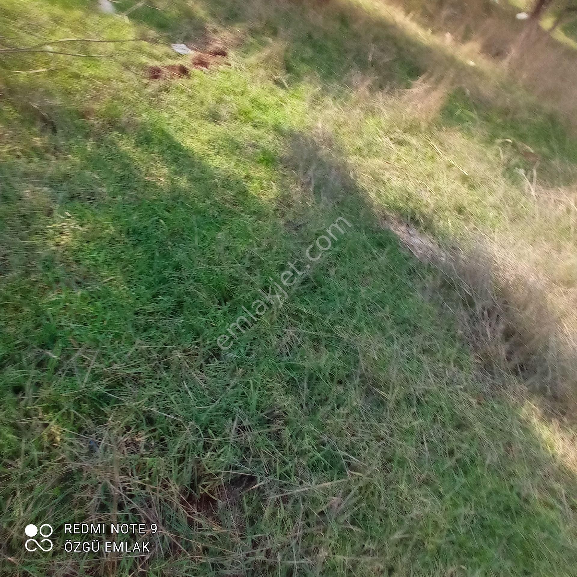 Ayrancılarda Suyunbaşı Mesire Alanı Yakını 387 M2 3k İmarlı Arsa - Görsel 10