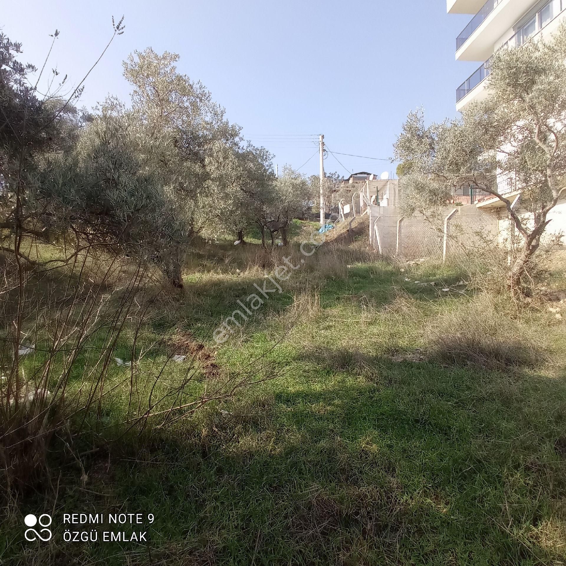 Ayrancılarda Suyunbaşı Mesire Alanı Yakını 387 M2 3k İmarlı Arsa - Görsel 8