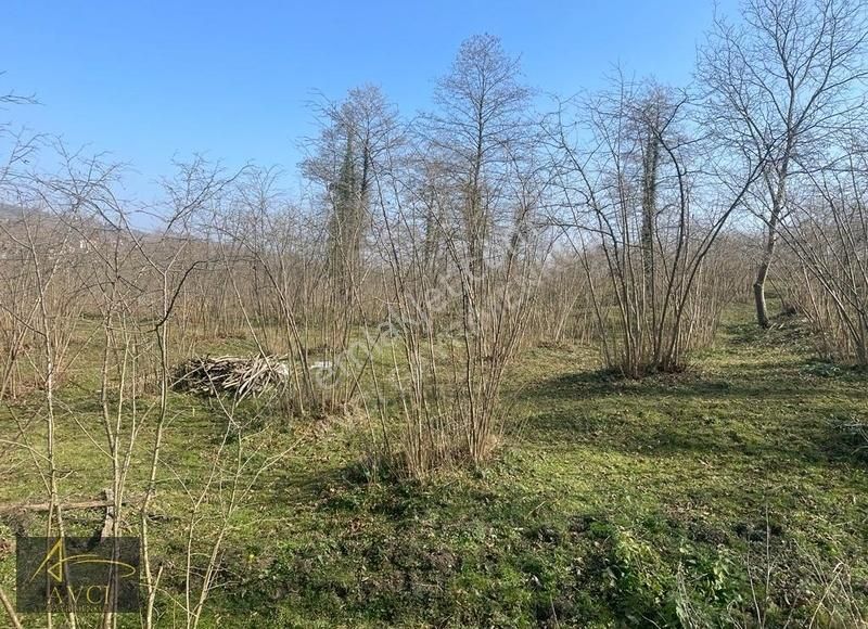 Teyneli Güvendikli Mahallesinde Merkeze 10 Km