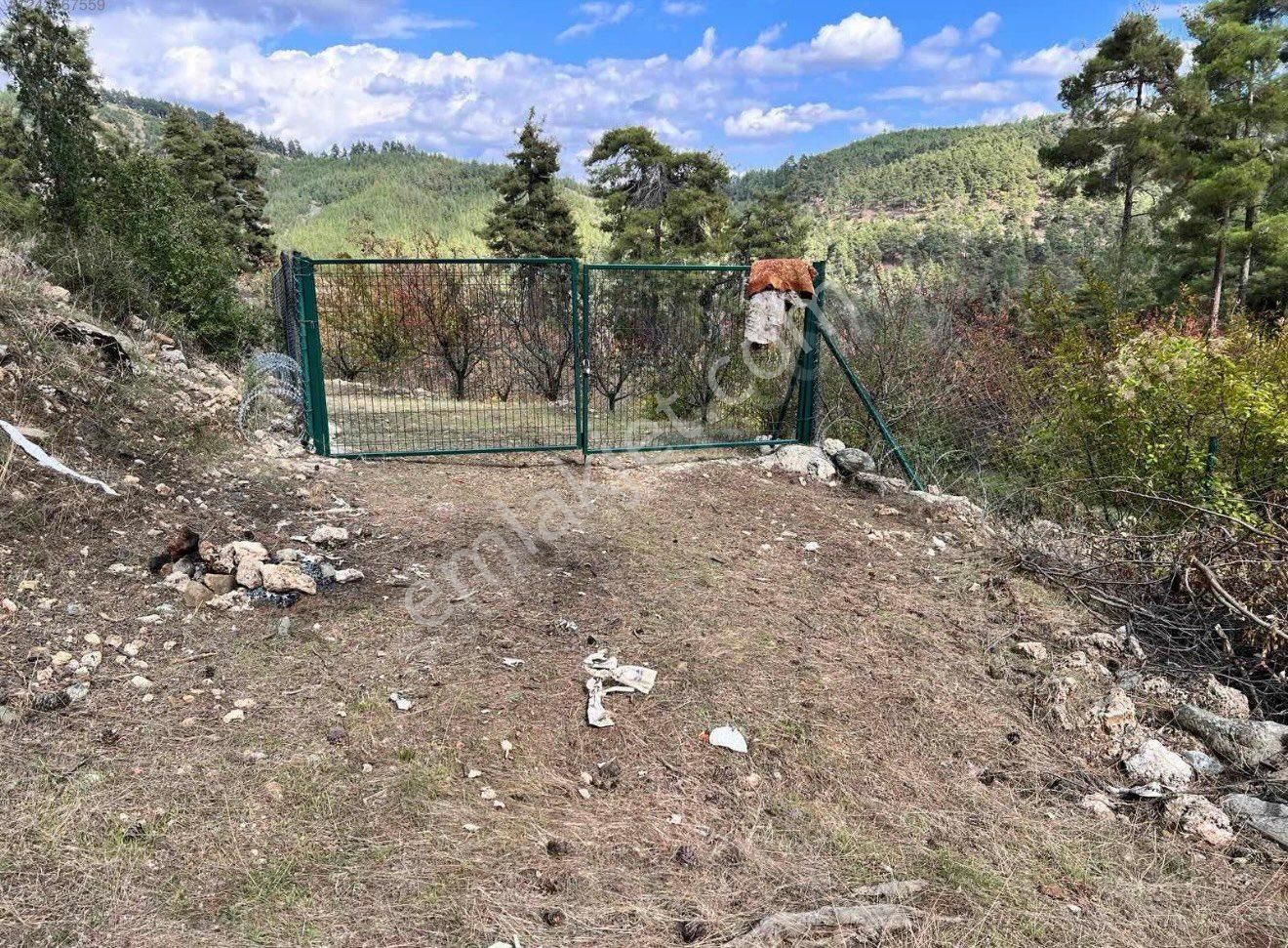 Demirışıkk