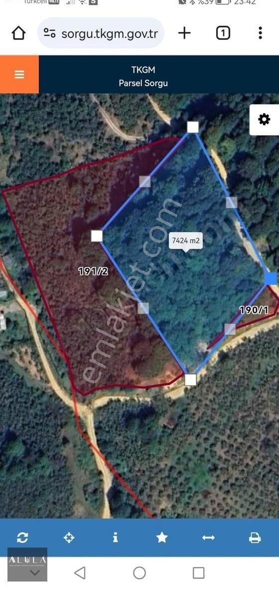 Düzce Merkez Dokuzpınar Mahallesi 8.210m2 Satılık Fındık Bahçesi