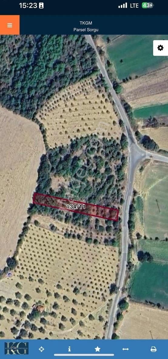 Bergama Karalar Köyü Asfalt Kenarı Satılık Hobi Bahçesi