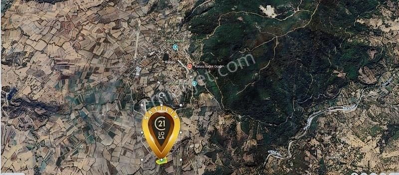 C21 Loca'dan Korucu'da 8815 M2 Tarla