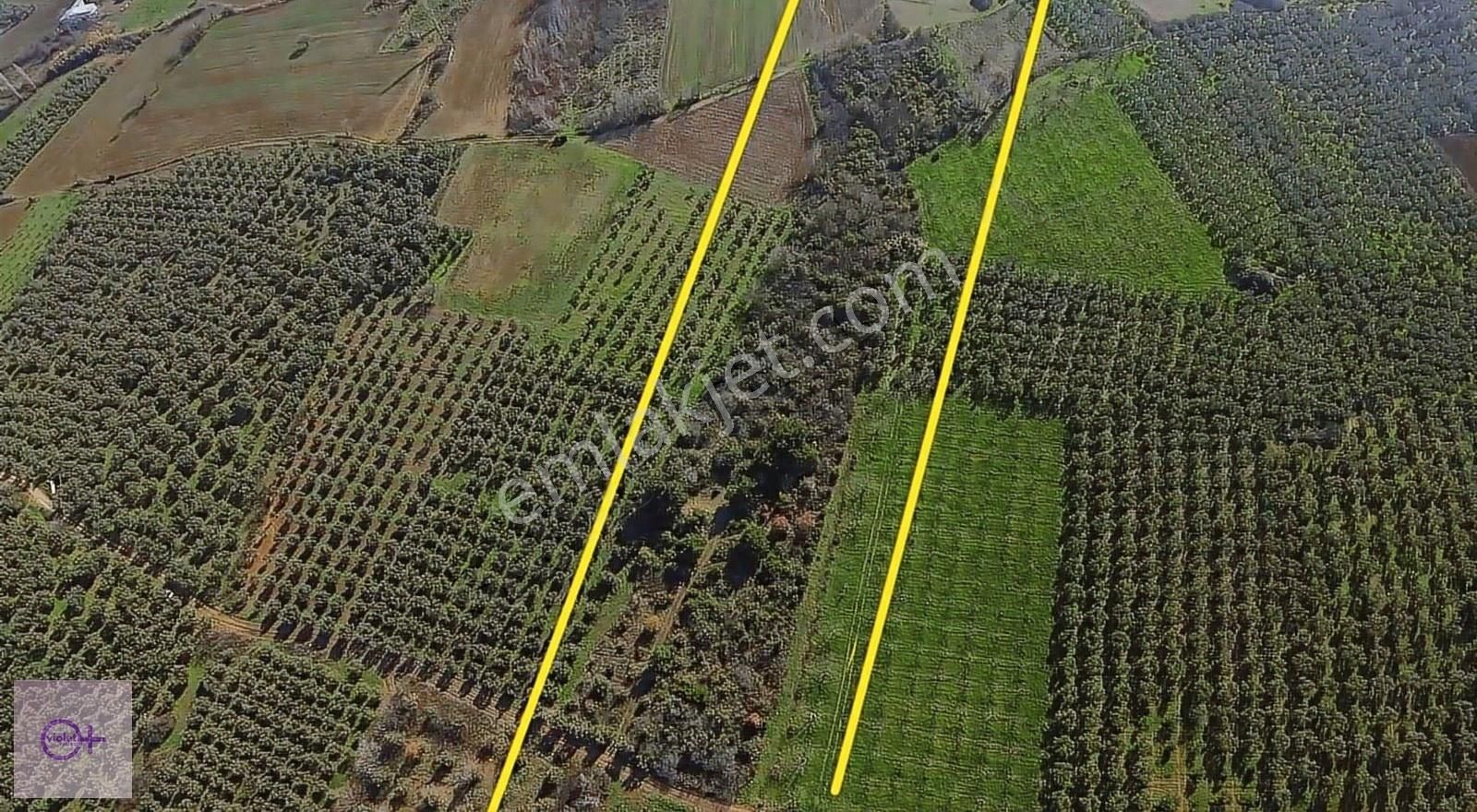 Bursa Mudanya Halilbey Satılık 14.455 M2 Arazi - Görsel 7