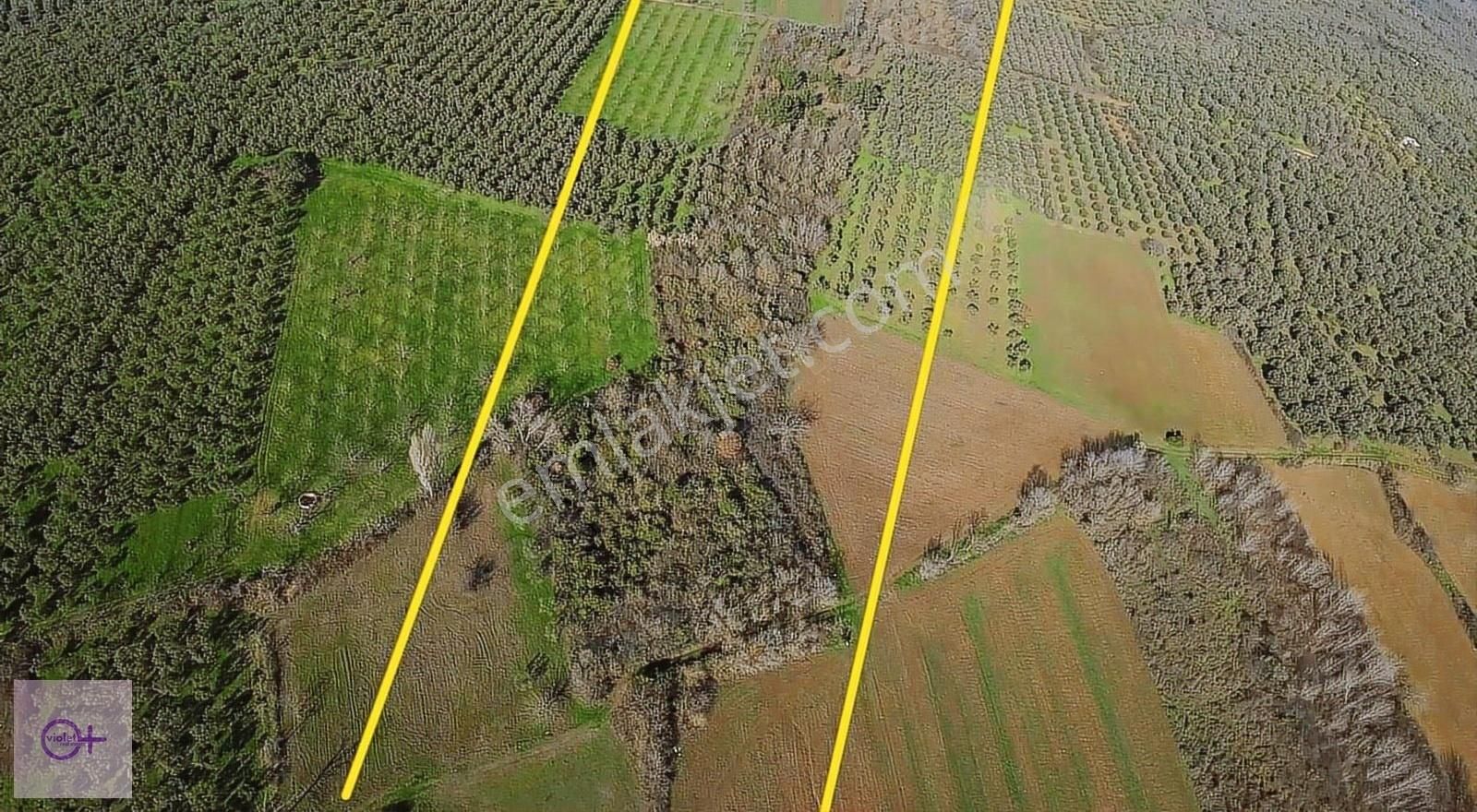Bursa Mudanya Halilbey Satılık 14.455 M2 Arazi - Görsel 4