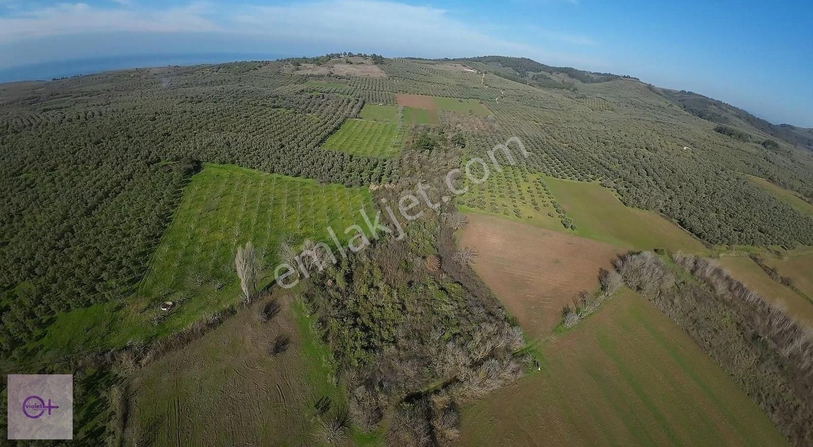 Bursa Mudanya Halilbey Satılık 14.455 M2 Arazi - Görsel 2