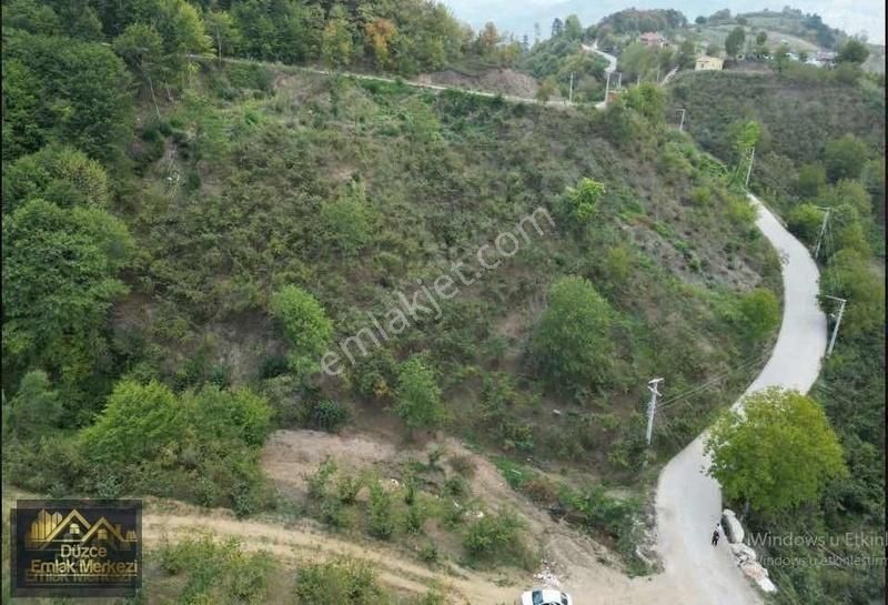 Yığılca Traşlar ' Da Ev Yapımına Uygun Satılık 559 M2 Arsa