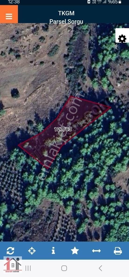 Gebiz Hacıosmanlarda 4 Dönüm Tek Müstakil Tapulu Tarla