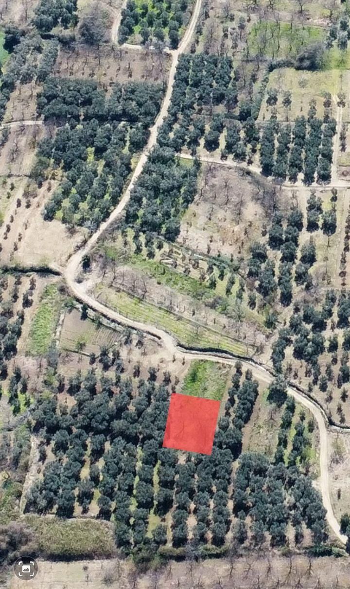 Erdek Ballıpınar'da Denize Yakın 268 M2 Hobi Bahçesi