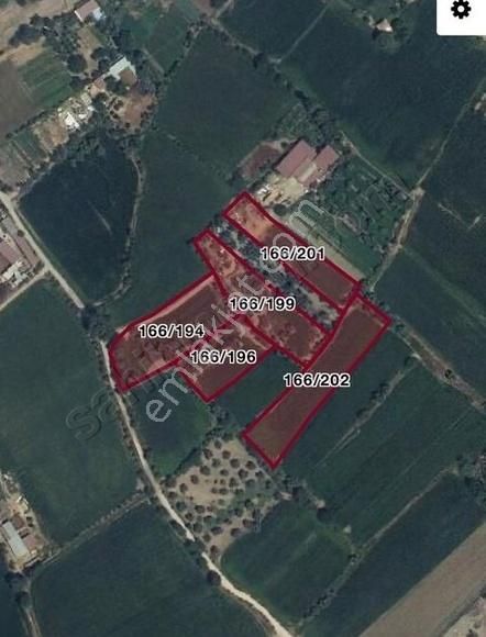 Muğla Milas Selimiyede Satılık Tarla
