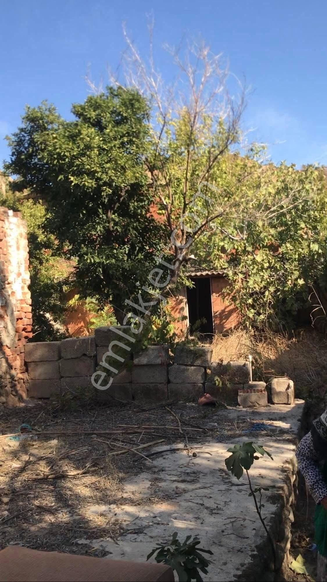 Müstakil Ev