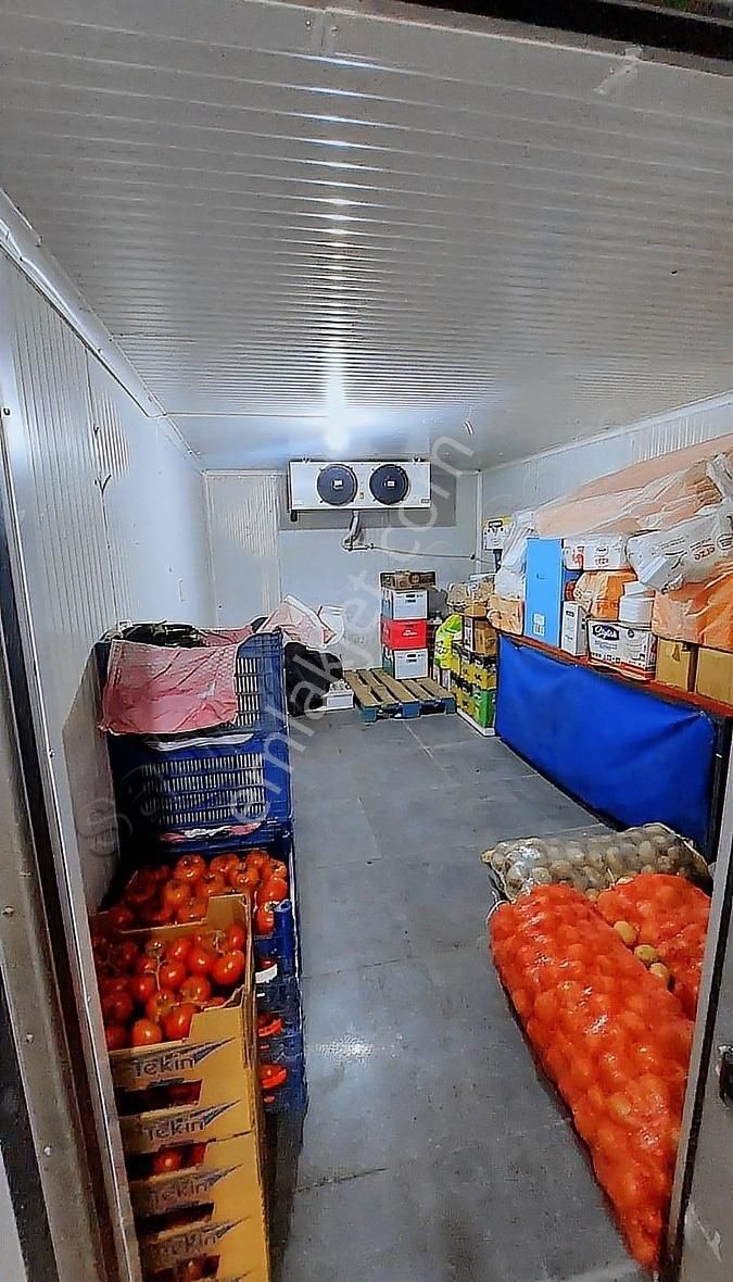 Lotus Tan Cadde Üzeri Kupon Market - Görsel 4