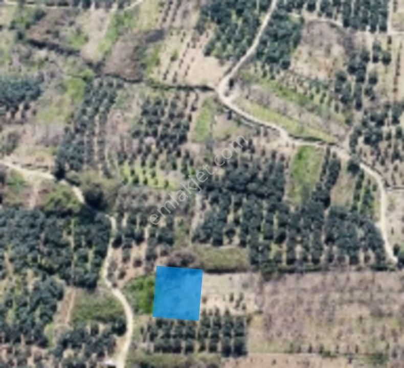 Erdek Ballıpınar'da Denize Yakın 245 M2 Hobi Bahçesi