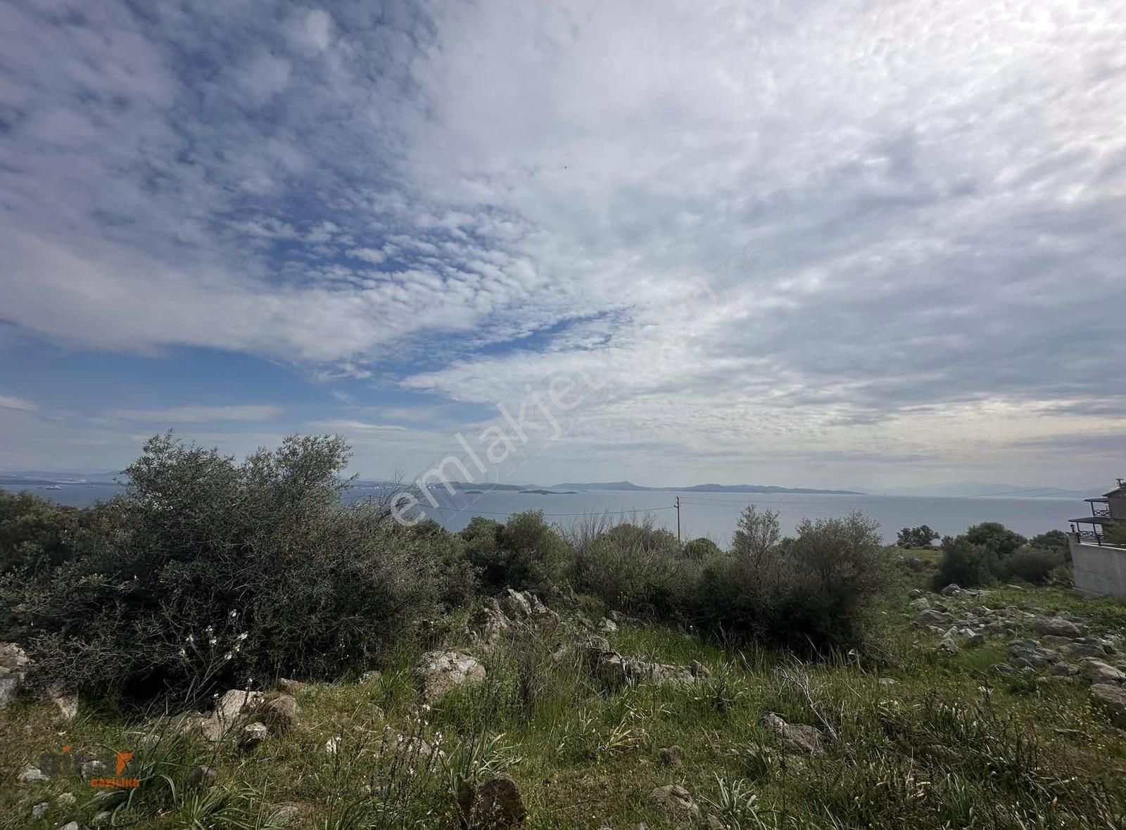 Çandarlı'da Denize 700 Metre Mesafe'de Satılık Villa Arsası