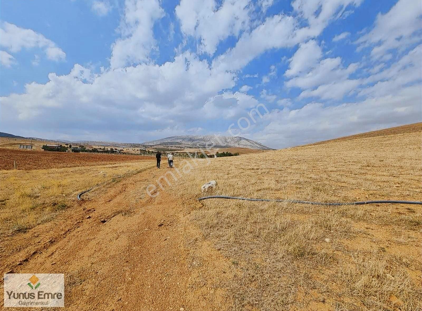 Konya Meram Çayırbağın'da 970 M2 Tapulu Bahçe Yerimiz Satılık