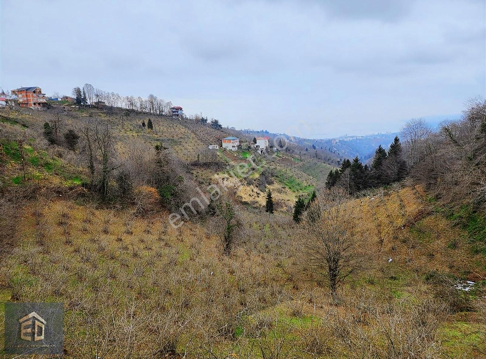 E&d Gyo'dan Trabzon Kavala'da Satılık 1050 M² Manzaralı Arsa