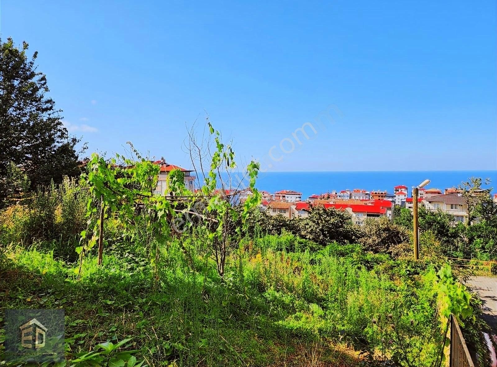 Trabzon Pelitli'de Apart Yapımına Uygun Manzaralı İmarlı Arsa