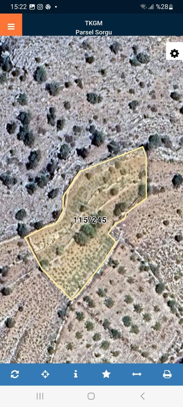 Çatak Mah 2570m2 Üzüm Bagı