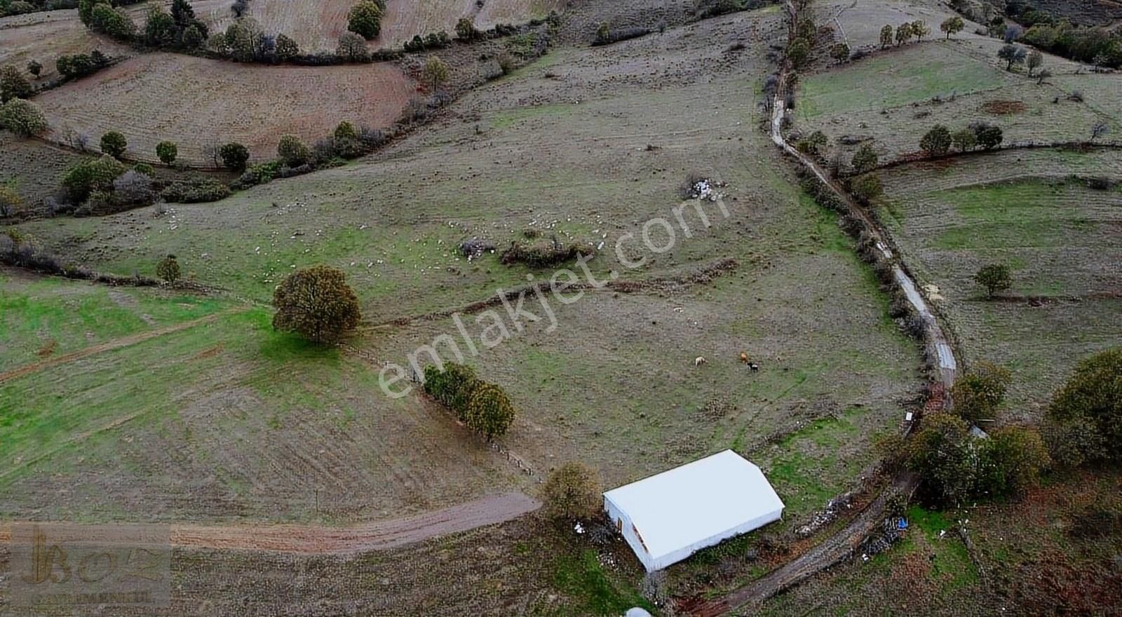 Çanakkale-biga Işıkeli Köyü Satılık Tarla