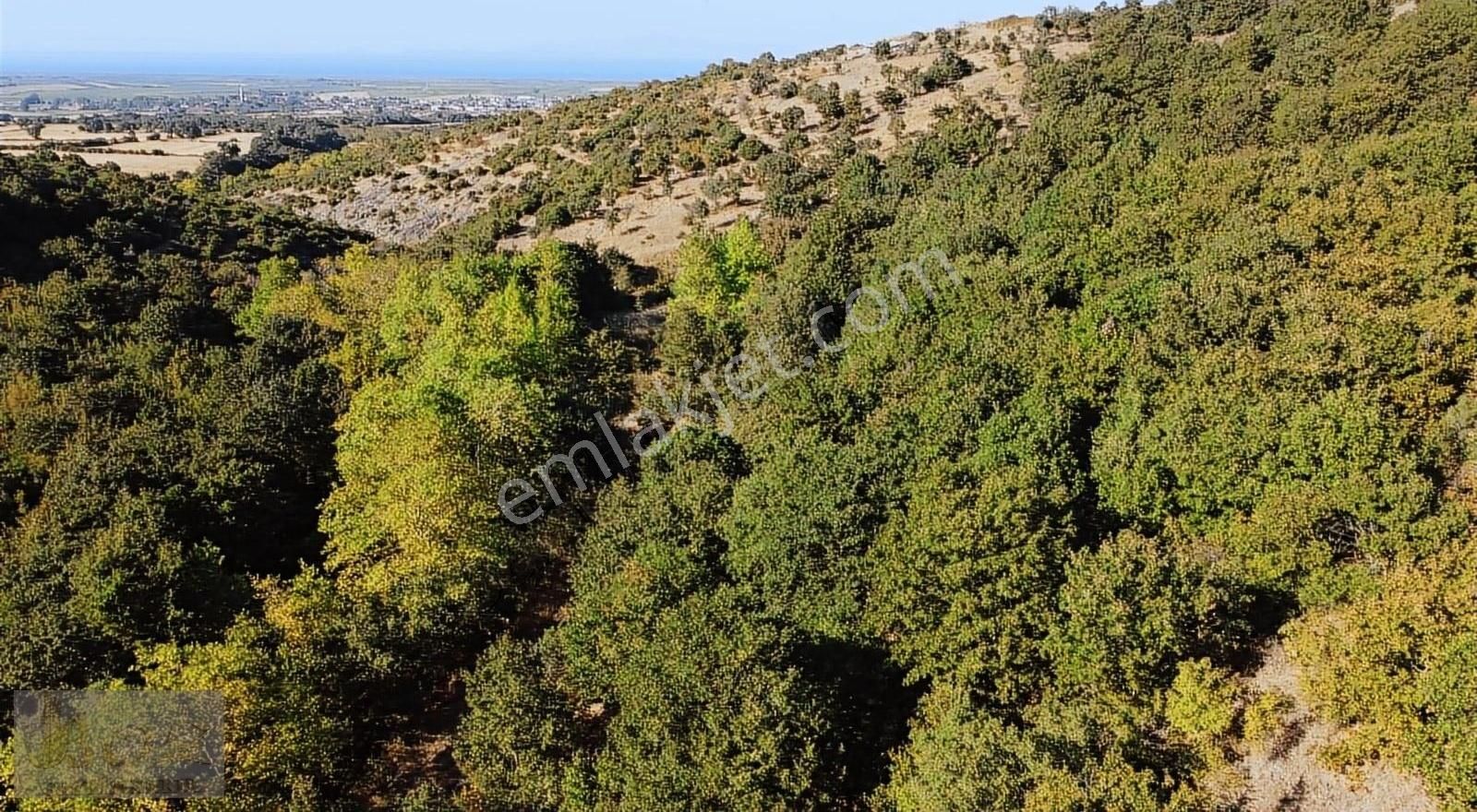 Çanakkale-biga Ilyasalan Köyü Mevki Satılık 2 Tarlamız