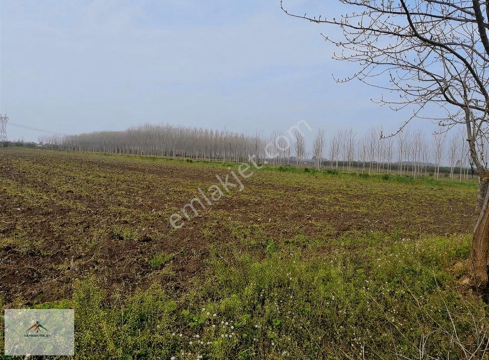 Resmi Yolu Mevcut Sulu Tarıma Uygun Satılık Tarla
