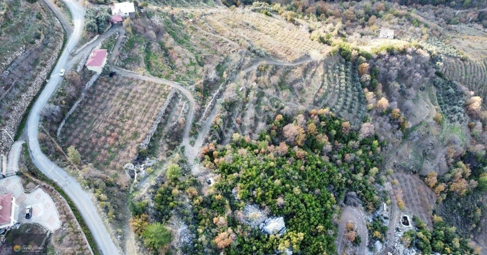 Gazipaşa Doğanca Mahallesi'nde Ceviz, Nar Ve Kivi Bahçesi